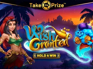 Wish Granted game cover